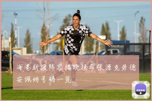 海港新援阵容揭晓杨希张源克劳德安佩姆号码一览