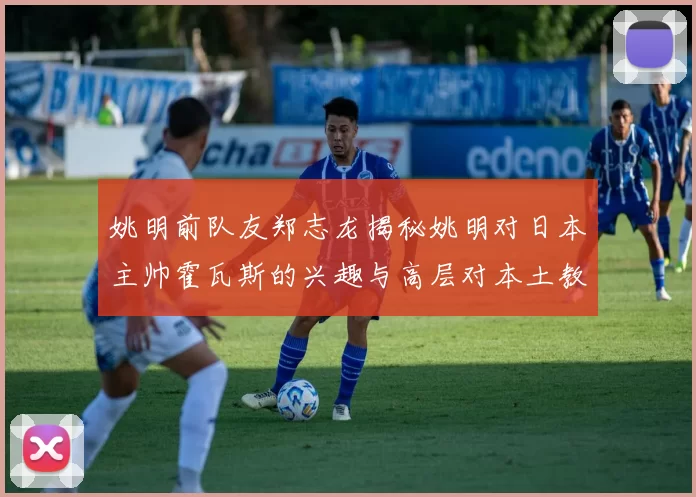 姚明前队友郑志龙揭秘姚明对日本主帅霍瓦斯的兴趣与高层对本土教练的偏好